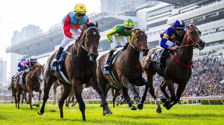 The Unseen Armor: Why Safety Gear is Non-Negotiable in Professional Horse&nbsp;Racing